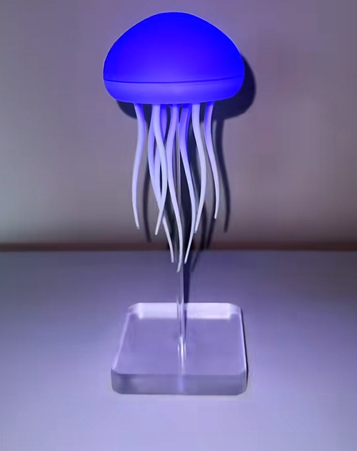 The Jelly Lamp